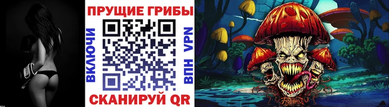 Купить  Заринск  Галлюциногенные грибы MAGIC MUSHROOMS 