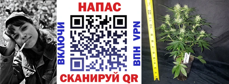 МАРИХУАНА индика  Купить где  Заринск 